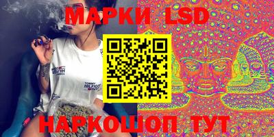 дмт Славгород