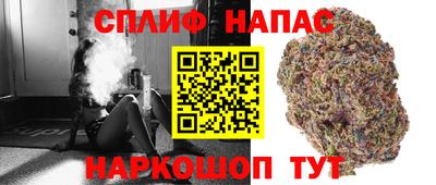 дмт Славгород