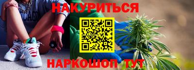 дмт Славгород