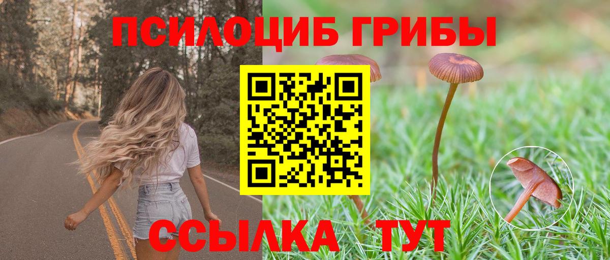 Псилоцибиновые грибы Psilocybe  Галлюциногенные грибы Psilocybine cubensis  Волхов  Вход с VPN 